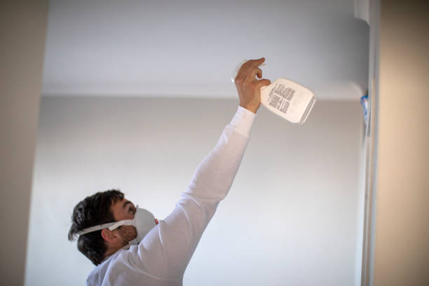 Best Black Mold Remediation in Salmon Creek, WA